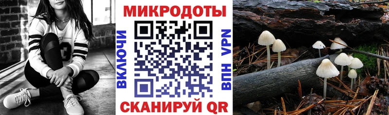 Псилоцибиновые грибы ЛСД Новоузенск